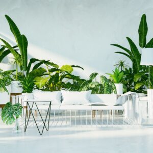 Go Green with the Interiors